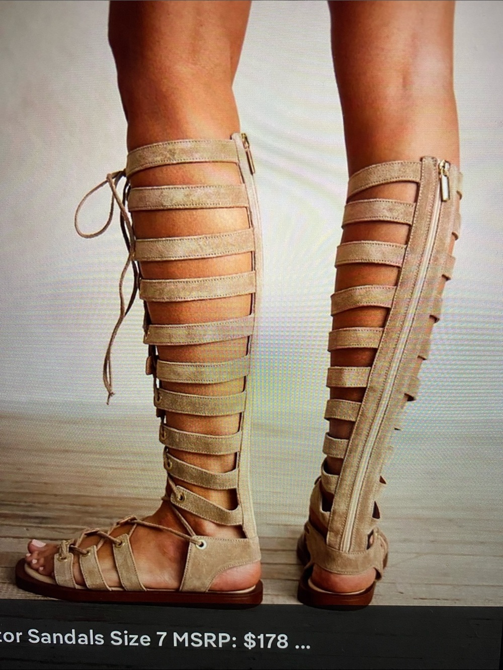 Vintage Foundry Co. Leather Sexy Tall Lace Up Zipper Back Gladiator Sandals NWOT